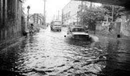 第二路雨在线观看,沉浸式体验，跟随剧情共赴雨中奇遇